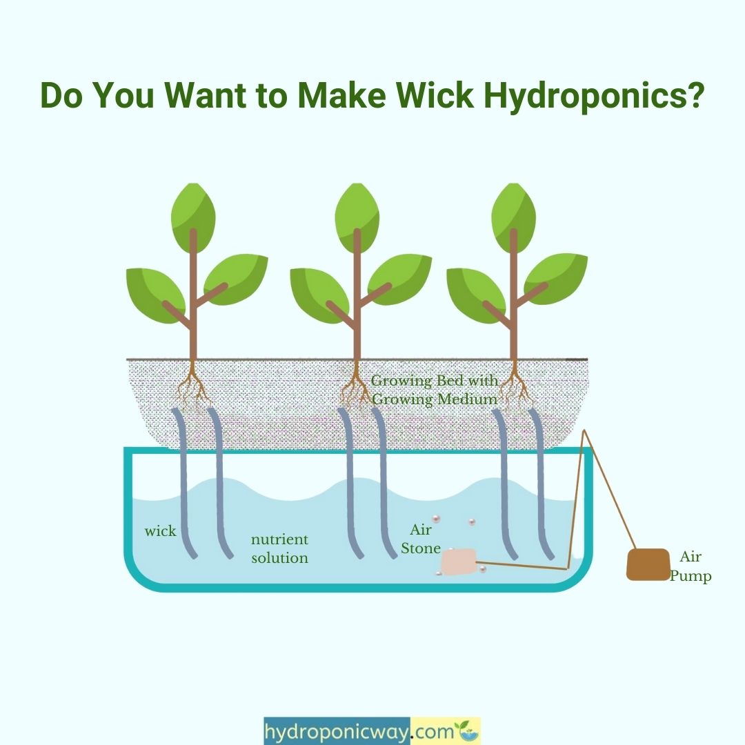 Learn more: hydroponicway.com/how-to-setup-w…

#gardening #farming #agriculture #garden #hydroponics #indoorfarming  #gardening101 #agritech #verticalfarming #verticalgarden #indoorgarden #sustainable #hydroponicfarming #agriculture #diy #indoorfarming #hydroponicgarden #hydroponicsystem