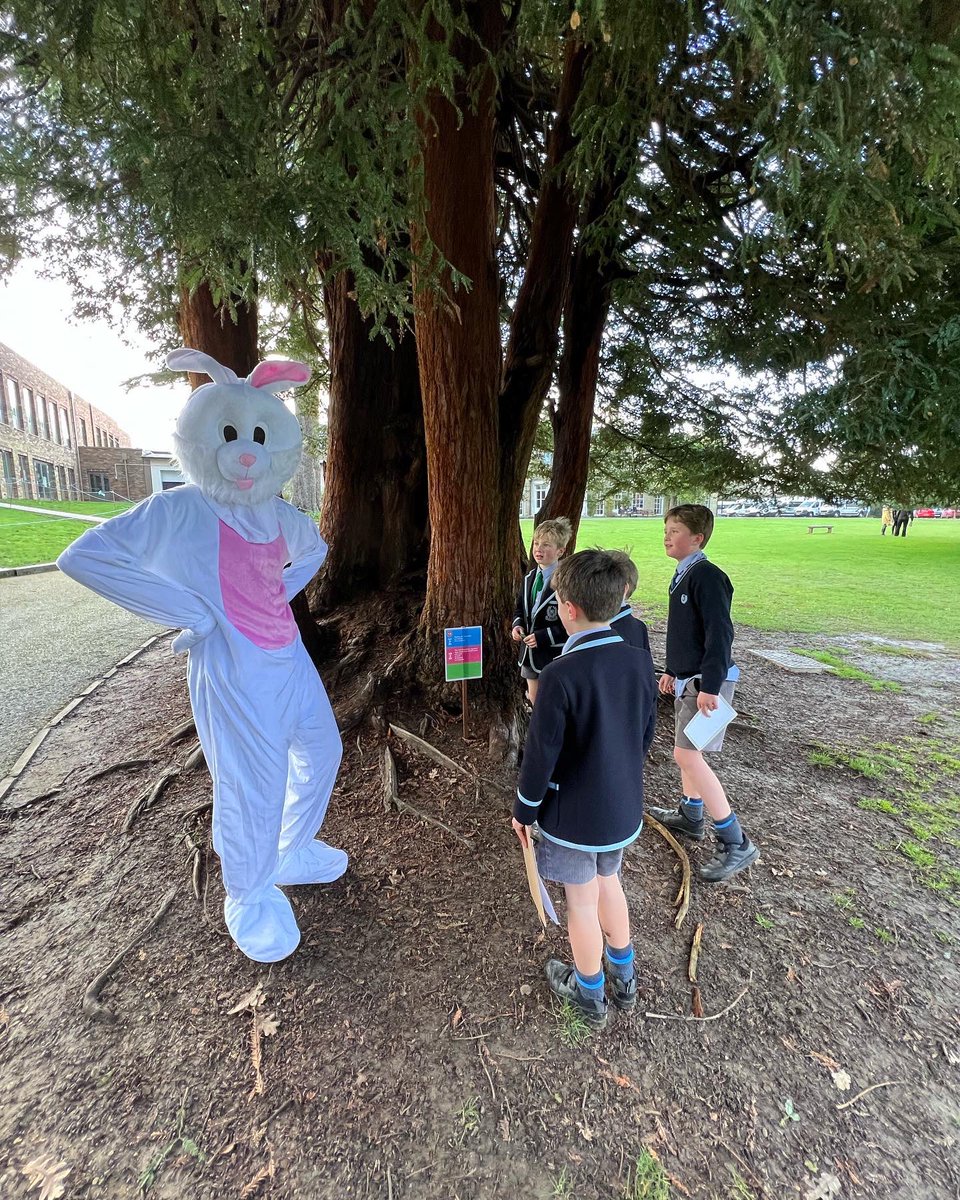 The children were visited by two naughty Easter Bunnies today as they embarked on Holmewood’s annual Easter Egg Hunt, hosted by FOH😊

Happy Easter to all! We hope that everybody has a lovely Easter break, and we look forward to seeing all of our lovely pupils again in April🐣🐇
