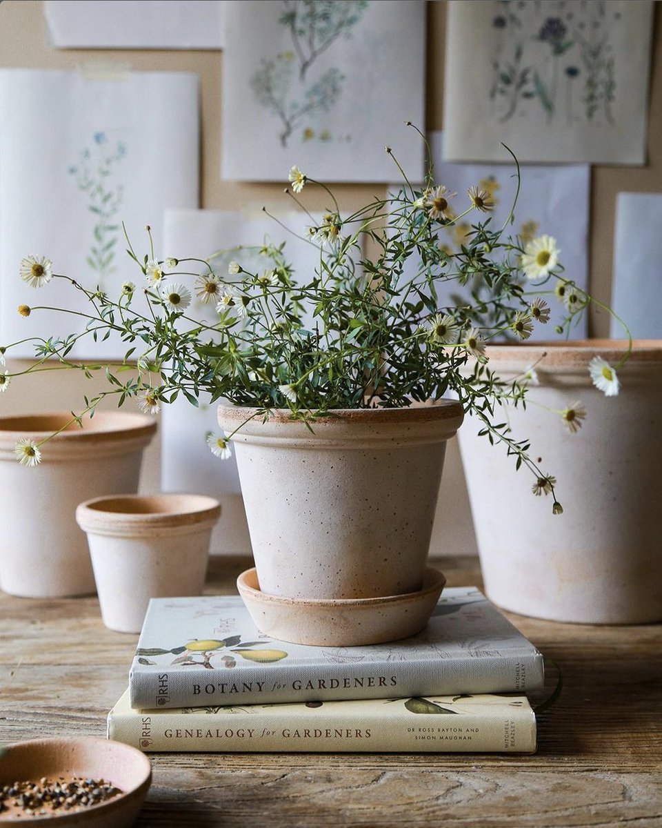 Hello spring 🌱
So much looking forward to this season! Today lots of <a href="/bergspotter/">P. Pennings</a> pots arrived, in store and online soon! 

#terracotta #handmade #naturalhome #bymolle