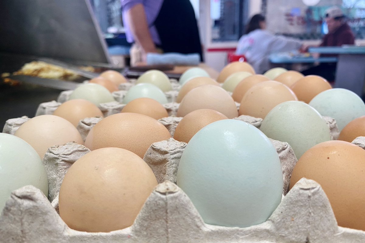 dinerevolution's tweet photo. Local farm fresh eggs most always available - aren’t these beauties pretty? Check out those Jumbos 😀👍🏻 #MacherEggs #MissouriBestBreakfast #BreakfastAnytime https://t.co/6DsIX5NRFm