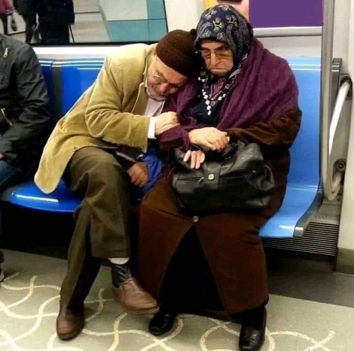 "إذا كان هذا الوِّد حاضرهم، فكيف كان ماضيهم." 💛