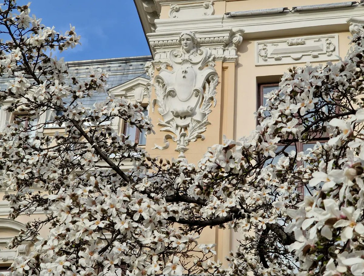ABouaru's tweet photo. #Iasi 🌸 https://t.co/E92AsIX36G