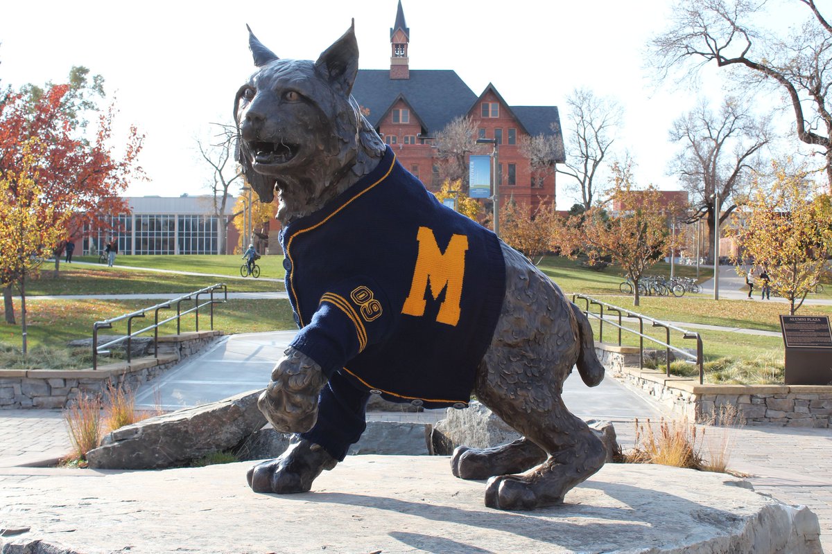MTStateAlumni's tweet photo. The Bobcat was selected as MSU's mascot in 1916 for its cunning intelligence, athletic prowess and independent spirit. The sculpture was created by Bob Stayton' 51 and cast in bronze by Jack Muir '70. Comment a π± if you got that Bobcat Spirit in you!
#FactFriday #msuaf #bobcats https://t.co/cr9Wz1saCM