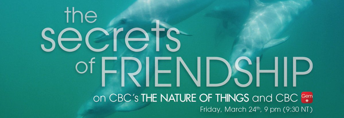 SimonJAllen1's tweet image. Calling all Canadians! Make friends with the Shark Bay dolphins, some macaques, empathetic dogs, human animals and more, tonight on CBC's The Nature of Things with David Suzuki. It's an absolute gem! @ResearchDolphin @_StephanieLKing @KrutzenMichael @PernilleMS @JudithPyke 😀