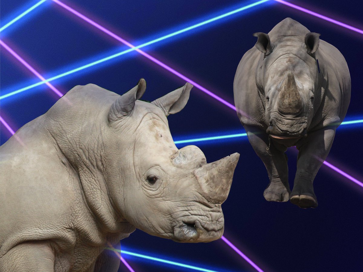 White Rhino, Flying Rhino Junior High, Crash of 1988 Voted: Most Thicc Favorite Quote: 'What do rhino?'