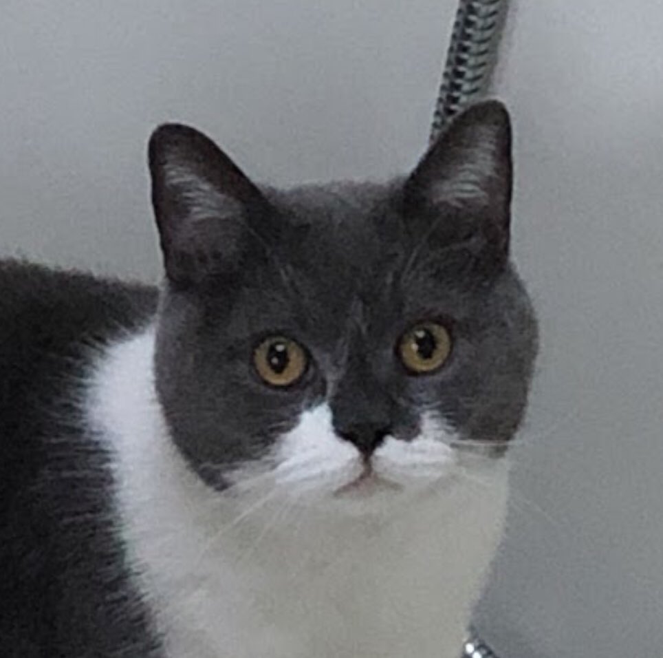 Crafty Glass tweet media