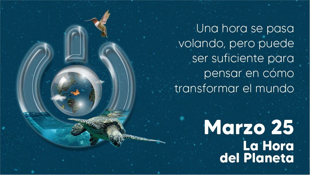 @ruedaverde.col tweet media