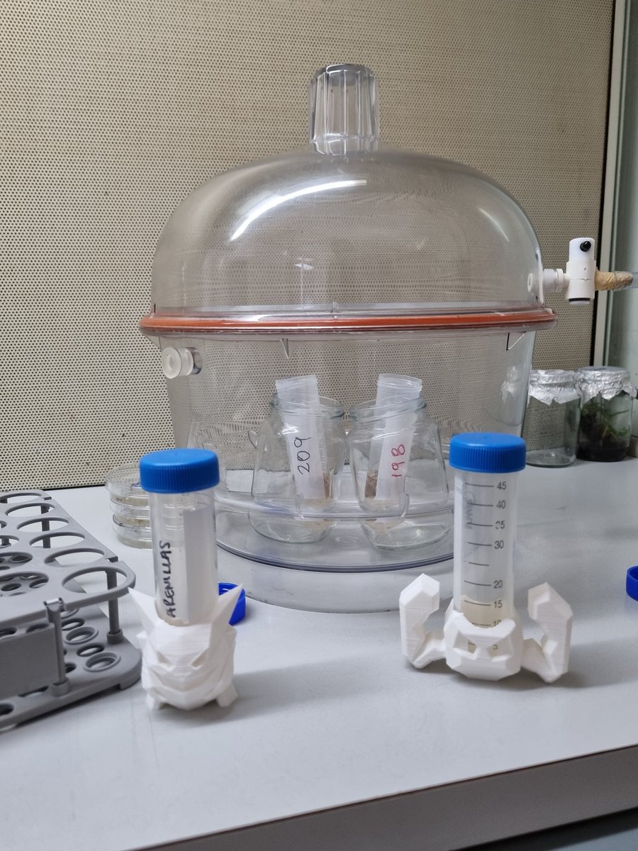 edusancheztimm's tweet photo. Transformación genética de banano 🍌 y arroz 🍚, en el marco del proyecto de investigación financiado por @espol  de establecimiento de la plataforma de edición de genes para ambos cultivos en @cibe_espol #GeneEditing #Banana #RIce #ESPOL https://t.co/wzfcnykW8A