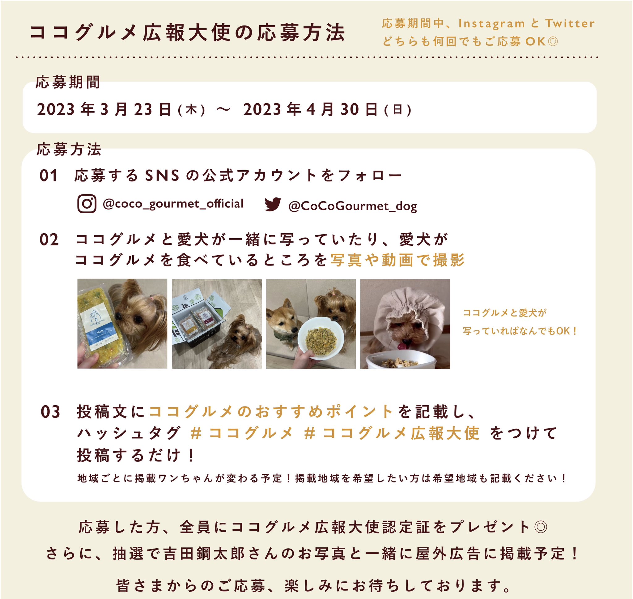 ココグルメ|獣医師監修手作りドッグフード (@CoCoGourmet_dog) / Twitter ココグルメ|獣医師監修手作りドッグフード (@CoCoGourmet_dog) / Twitter