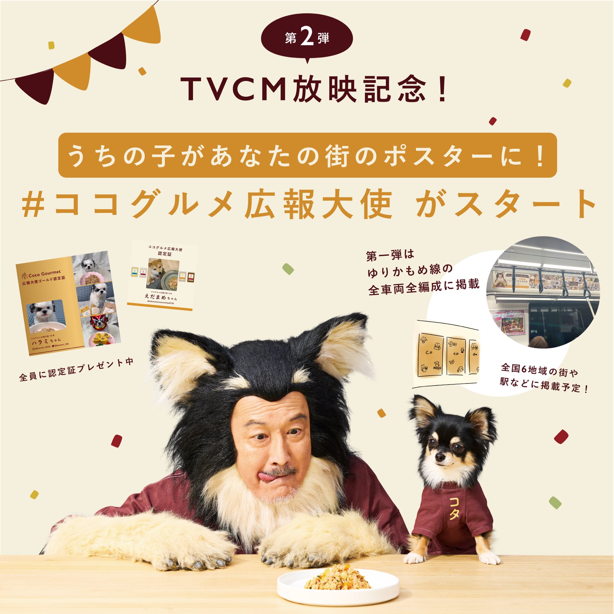 ココグルメ|獣医師監修手作りドッグフード (@CoCoGourmet_dog) / Twitter ココグルメ|獣医師監修手作りドッグフード (@CoCoGourmet_dog) / Twitter