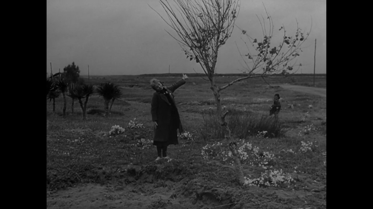 aanchojo's tweet photo. Federico Fellini's LA STRADA (1954)
#FilmTwitter #filmtwt #federicofellini #LaStrada https://t.co/ACNT7NePLp