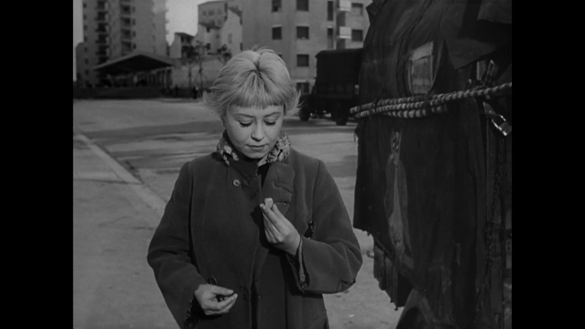 aanchojo's tweet photo. Federico Fellini's LA STRADA (1954)
#FilmTwitter #filmtwt #federicofellini #LaStrada https://t.co/ACNT7NePLp