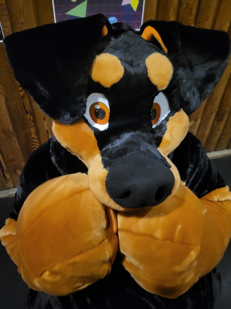 plush_army's tweet image. Happy fursuit Friday
#FursuitFriday #plushie #plushsuit