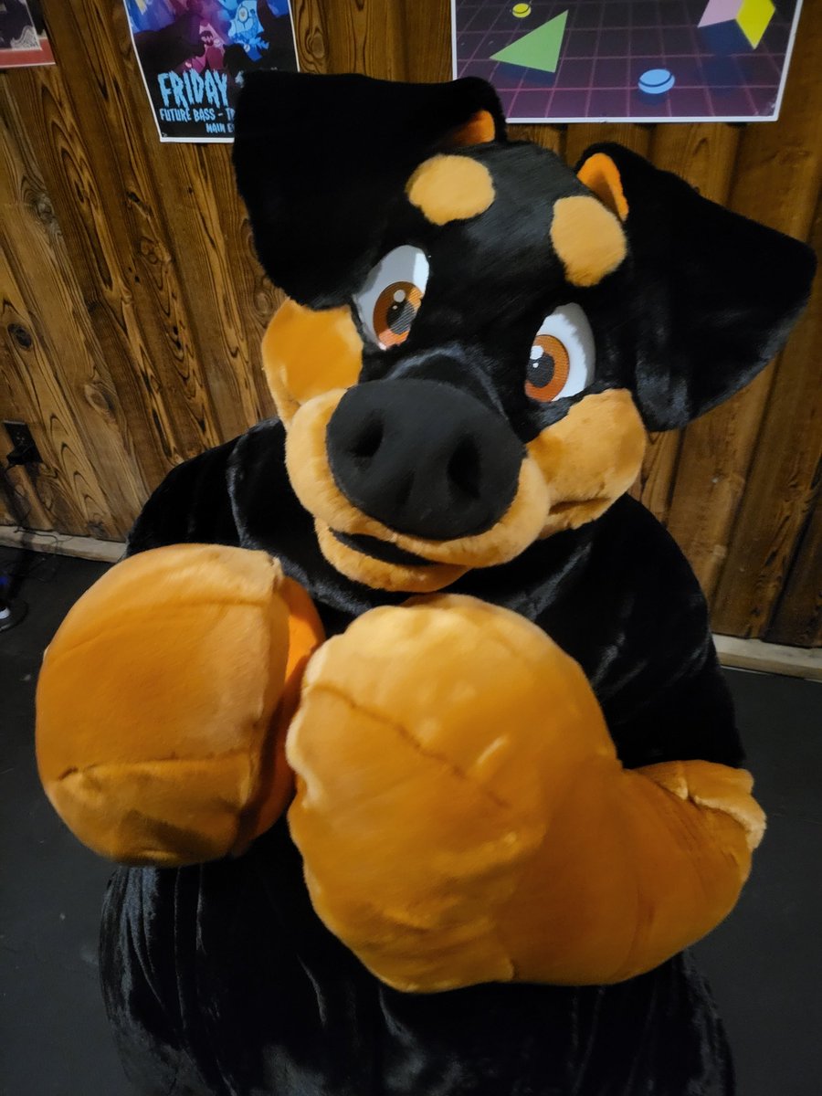 plush_army's tweet image. Happy fursuit Friday
#FursuitFriday #plushie #plushsuit
