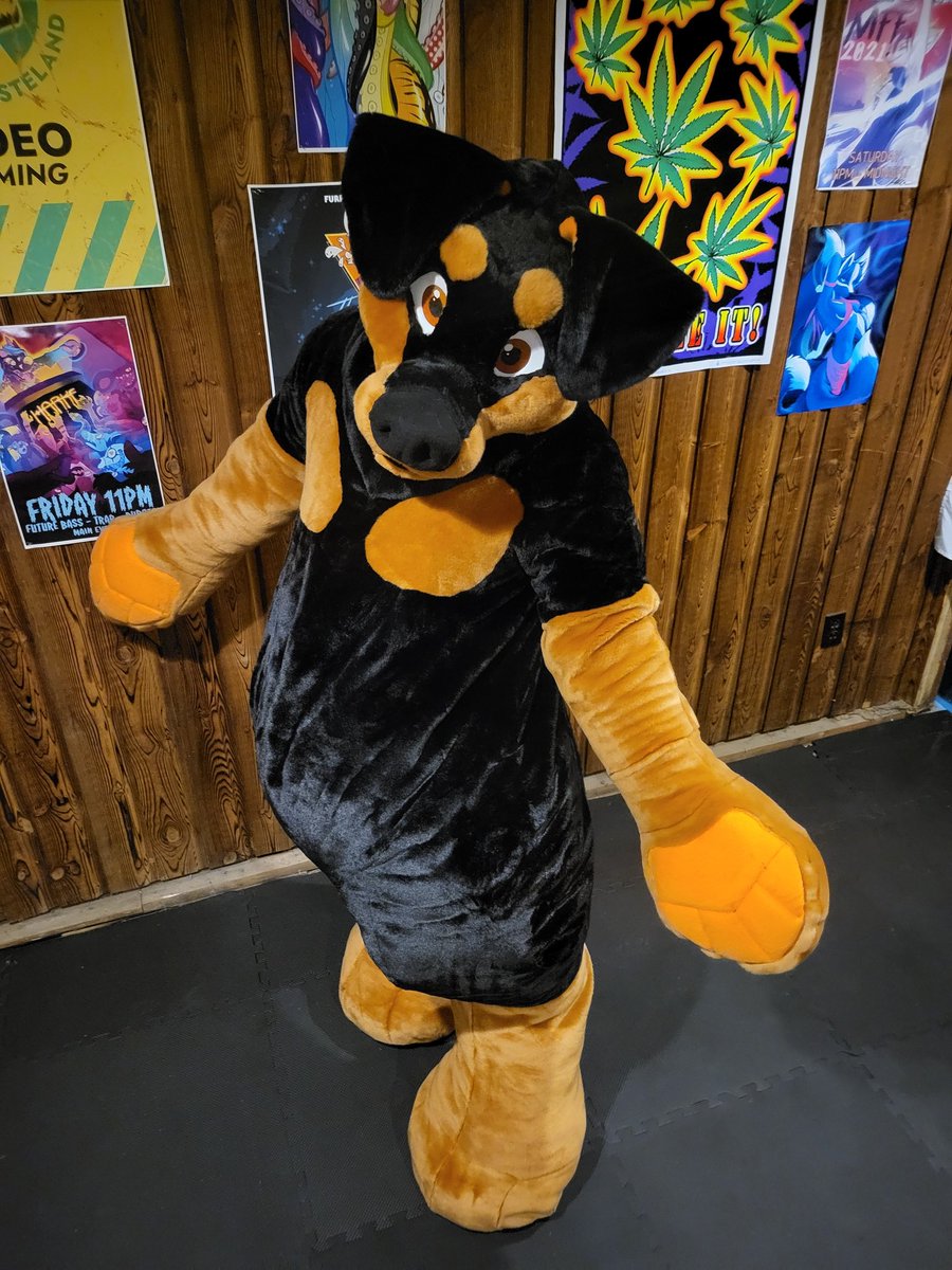 plush_army's tweet image. Happy fursuit Friday
#FursuitFriday #plushie #plushsuit