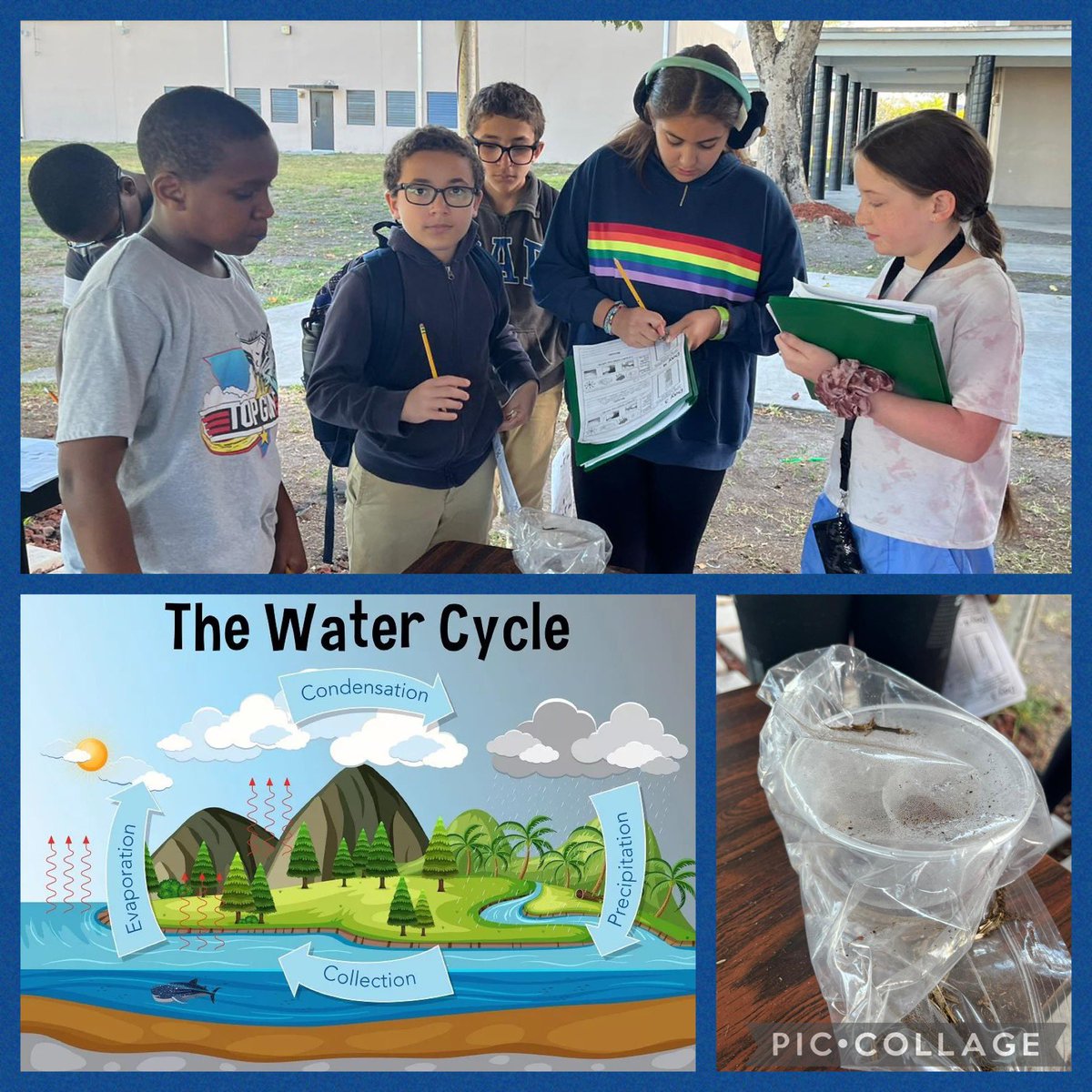 wachapmanelem's tweet photo. Scientific Process: The Great Cookie Dunk. Check✅. Water Cycle Experiment. Check✅. Stations on Physical and Chemical Changes. Check✅. “Jump for George” Fun. Check✅. McDonalds Treat. Check✅. These #DWAC #SpringBreakAcademy students are having the BEST time! @MDCPSSouth @MDCPS https://t.co/rSEuKtAahB