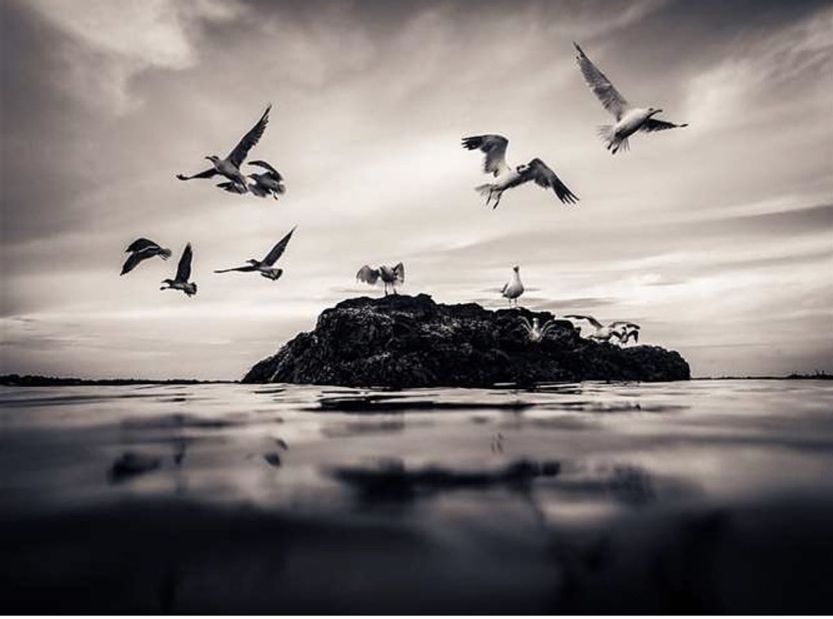NewportThisWeek's tweet photo. We are proud to congratulate @WeareMiddletown Junior Griffin Soderberg for achieving national recognition for his submitted photograph “Up Up and Away.”
We have had the pleasure of working with Soderbergh in the past and look forward to his continued success.
#NewportThisWeek https://t.co/LFOxQhtEHE