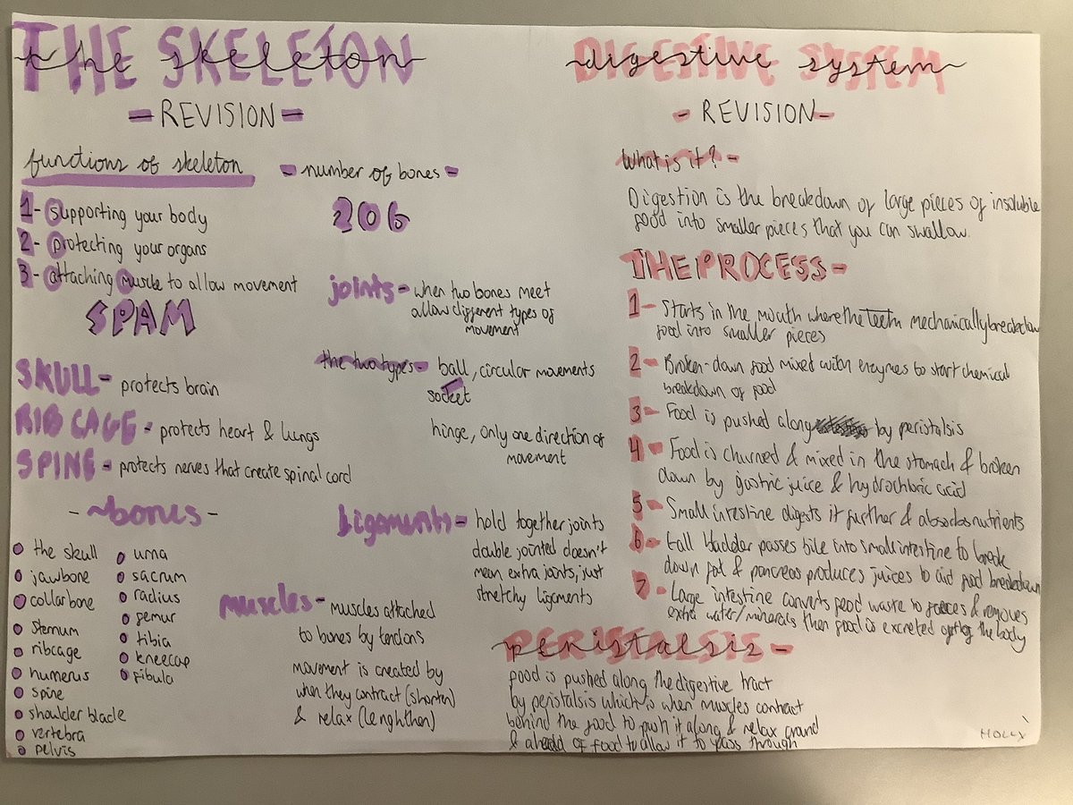 drstein_bio's tweet photo. Well done 2/3 on your fabulous work on revision resources! #skills #braesanatomy #revisiontechniques https://t.co/2WjZsQDVvg