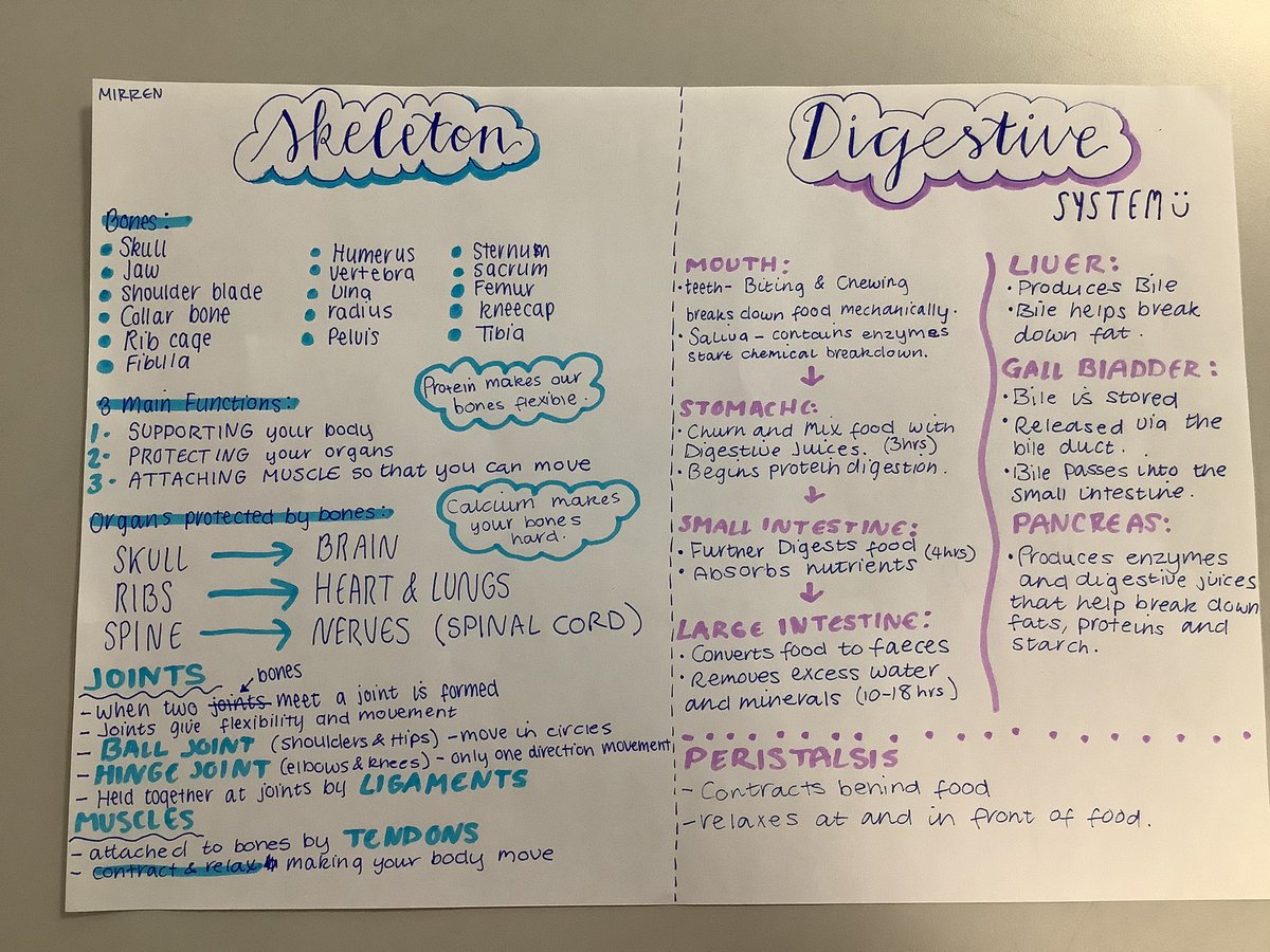 drstein_bio's tweet photo. Well done 2/3 on your fabulous work on revision resources! #skills #braesanatomy #revisiontechniques https://t.co/2WjZsQDVvg