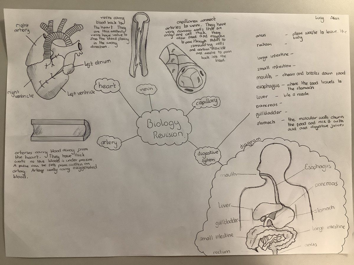 drstein_bio's tweet photo. Well done 2/3 on your fabulous work on revision resources! #skills #braesanatomy #revisiontechniques https://t.co/2WjZsQDVvg