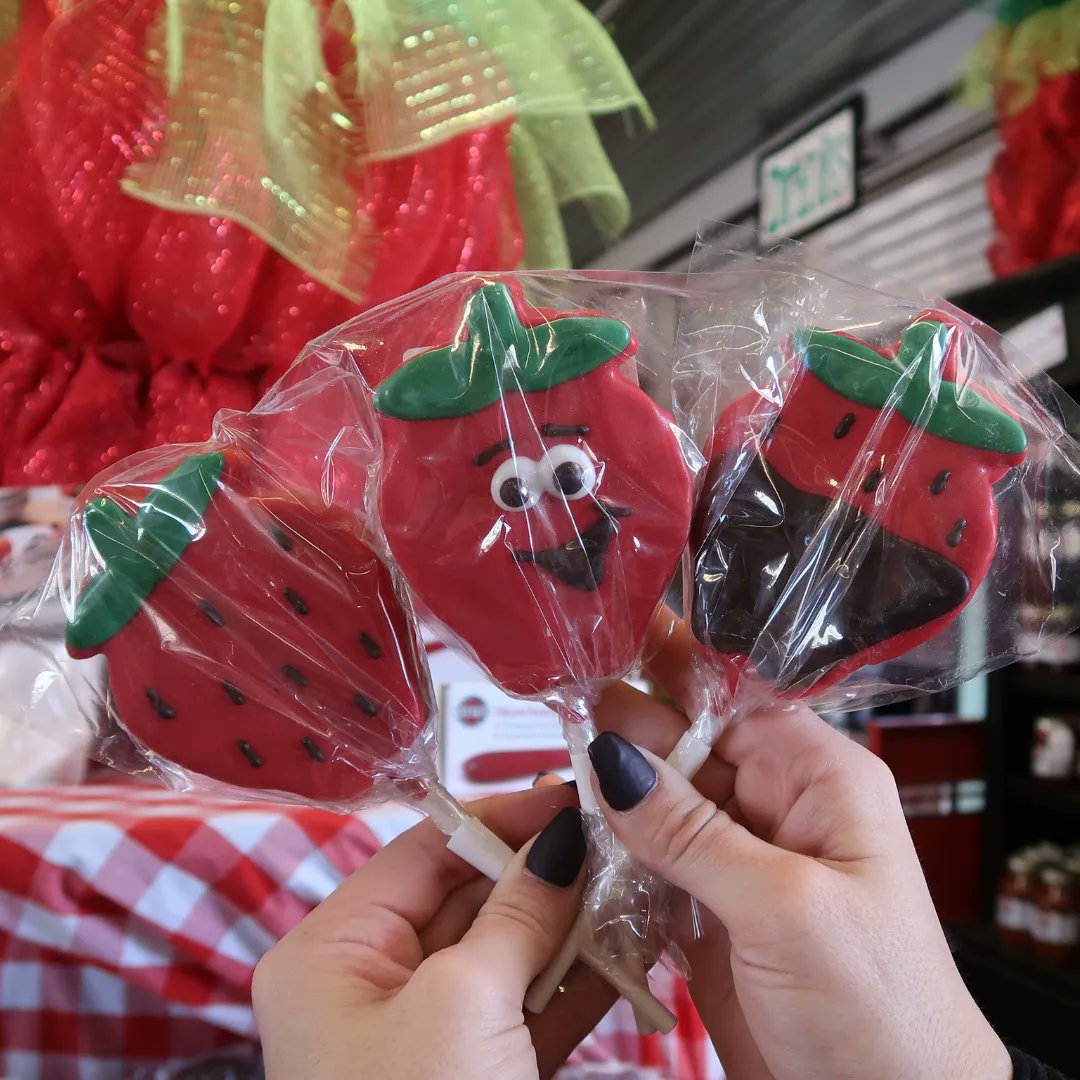 Patterson_Farm's tweet photo. Weβre counting down the days until our market opens! π
The market is reopening on April 1! Come see us for your favorite fresh treats, souvenirs, and Patterson Farm goodies! In the meantime, shop online 24/7 at https://t.co/Kd5T6CctDf.
#VisitPattersonFarm #VisitNCFarms #Market https://t.co/a0W1UNMKF0