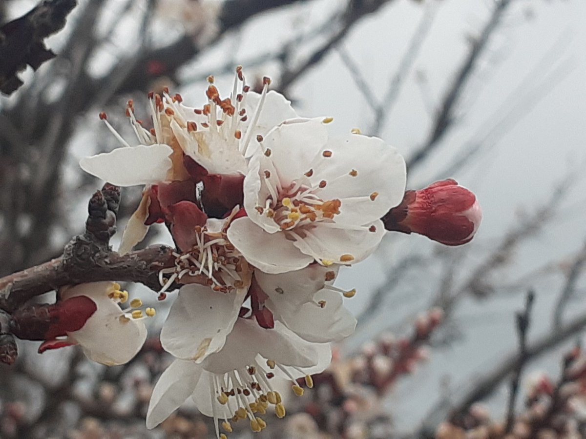 ...
Dün, yarının çerağı,
Yol, yolcunun durağı,
Bir sevdalı yüreği, 
Bin yakmak hakkımız var.
