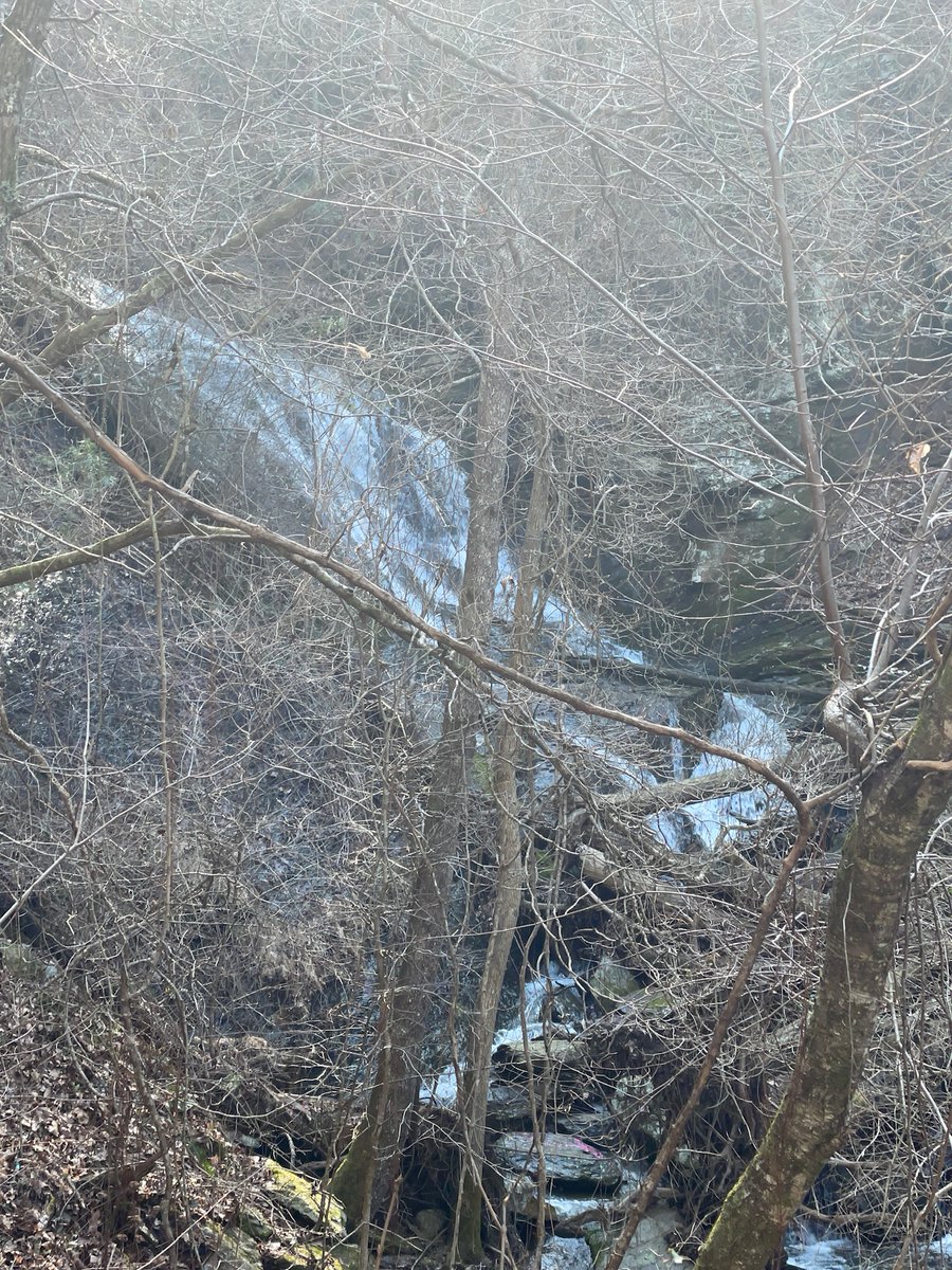 If you look close enough, you can see the future!
#ResortBuilding #FollowOurProgress