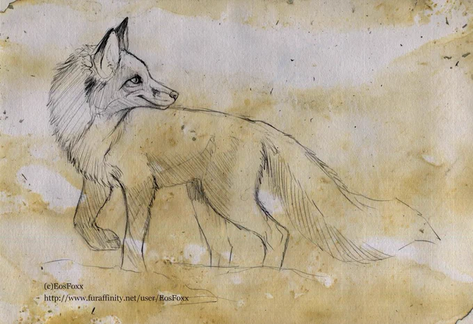First time in days where I finally feel calm and enjoying my day.  This week was a rollercoaster ride without any breaks. But now it feels it will calm down a bit.Have an old sketch of mine with a positive fox.Have a nice weekend!  #fox 