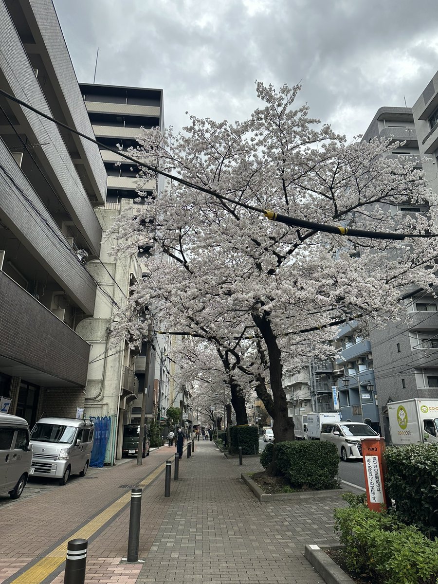 sizzuldeli's tweet photo. 明日桜台桜祭り出店致します🌸 https://t.co/4nzUdAyOBZ