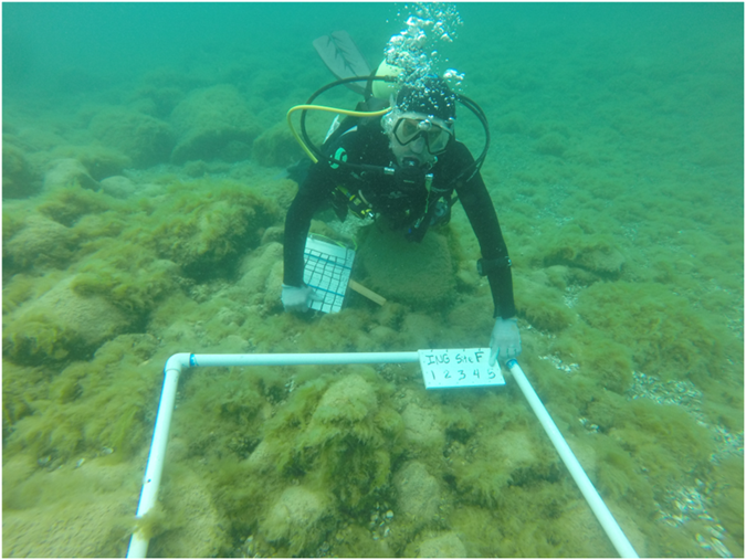 LampreyControl's tweet photo. Lake Michigan fish use rocky reefs for spawning. With EPA / GLRI funding, a team of scientists collected data to characterize 13 reef sites in LM. The study should improve the understanding of reef influences on native fish pops., leading to improved management. #2023LakeCmtes https://t.co/f3RXaJ4WZK