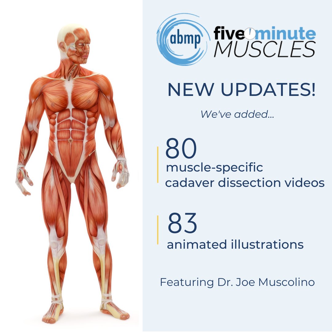 We've included new updates to our 5 Minute Muscles program! Check out bit.ly/3FLxtJs for more information.