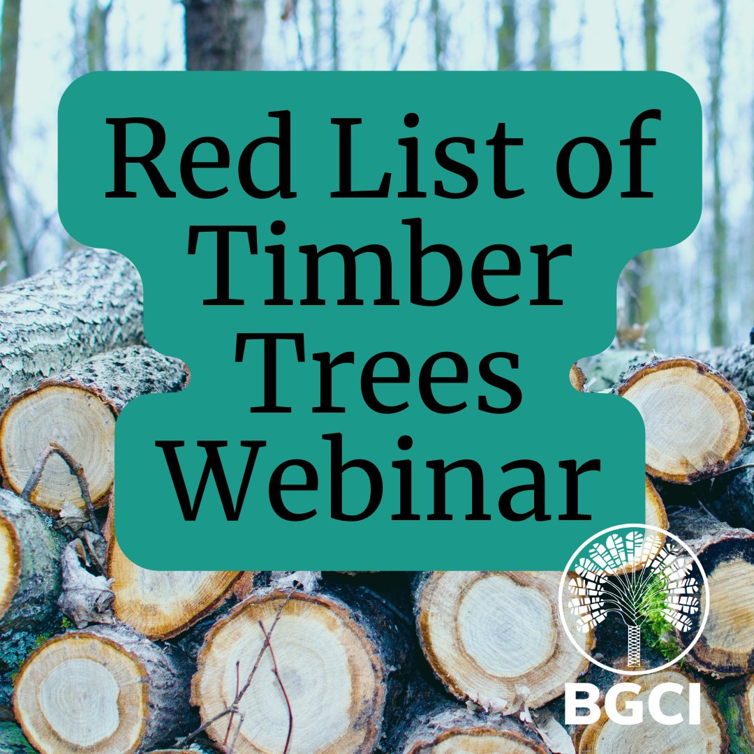 bgci's tweet photo. We are delighted to be able to announce our first webinar of 2023!
 The webinar will include talks from those who have been working hard on the project of establishing a Red List of Timber Trees.
https://t.co/yURGIxAqLM
#TreeConservation #RedList #TimberTrees #ConservationEvents https://t.co/bNAXRtNQDF