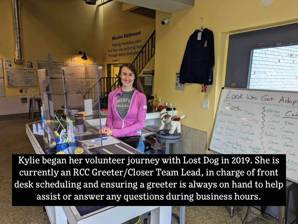 lostdogrescue's tweet photo. 💛💙🙌 Volunteer Spotlight 🙌💙💛
Read Kylie's story! (in the photos)
Become a #volunteer 🐶🐱
https://t.co/PdbrwPAYpM
#feelgoodfriday #volunteerspotlight #donate #giveback #community #nonprofit #makeadifference #availableforadoption #adoptdontshop #dmvcats #dmvdogs #thankyou https://t.co/CEWVFzXpuR
