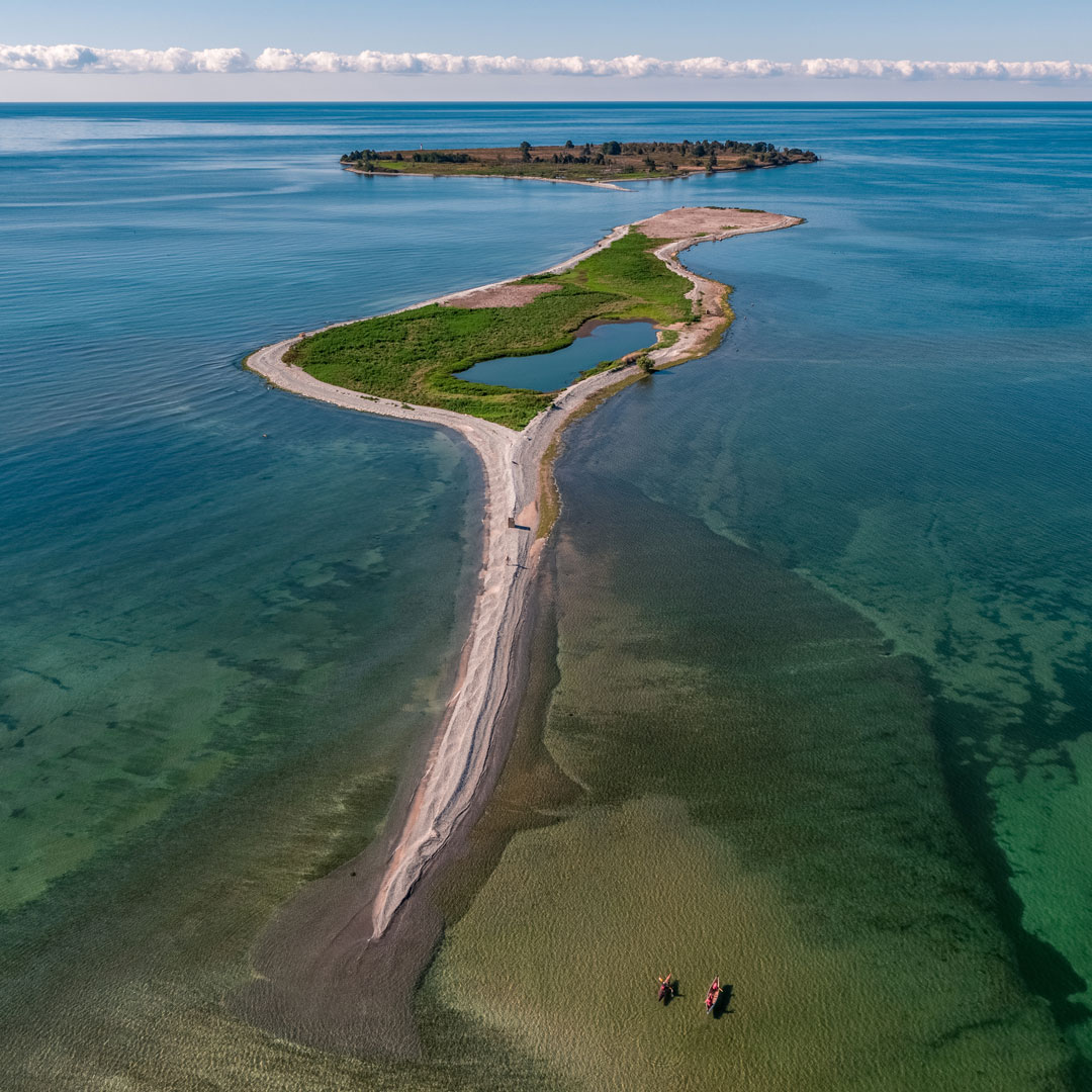 Northumberland Tourism tweet media