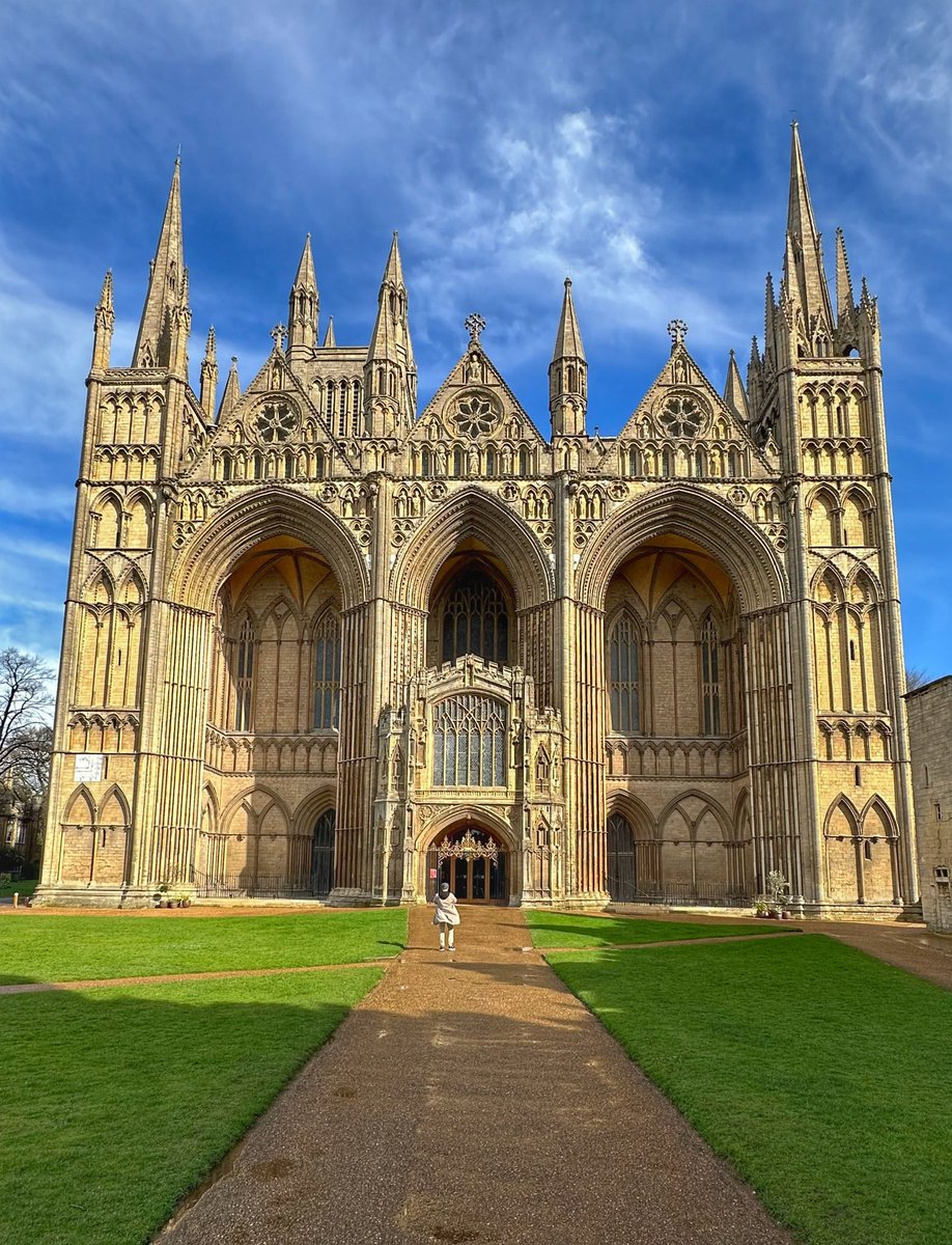 Toby Wood tweet media