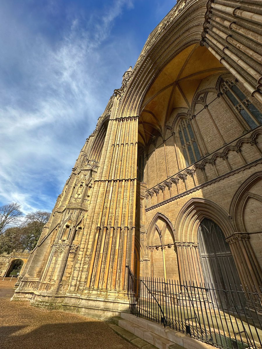 Toby Wood tweet media