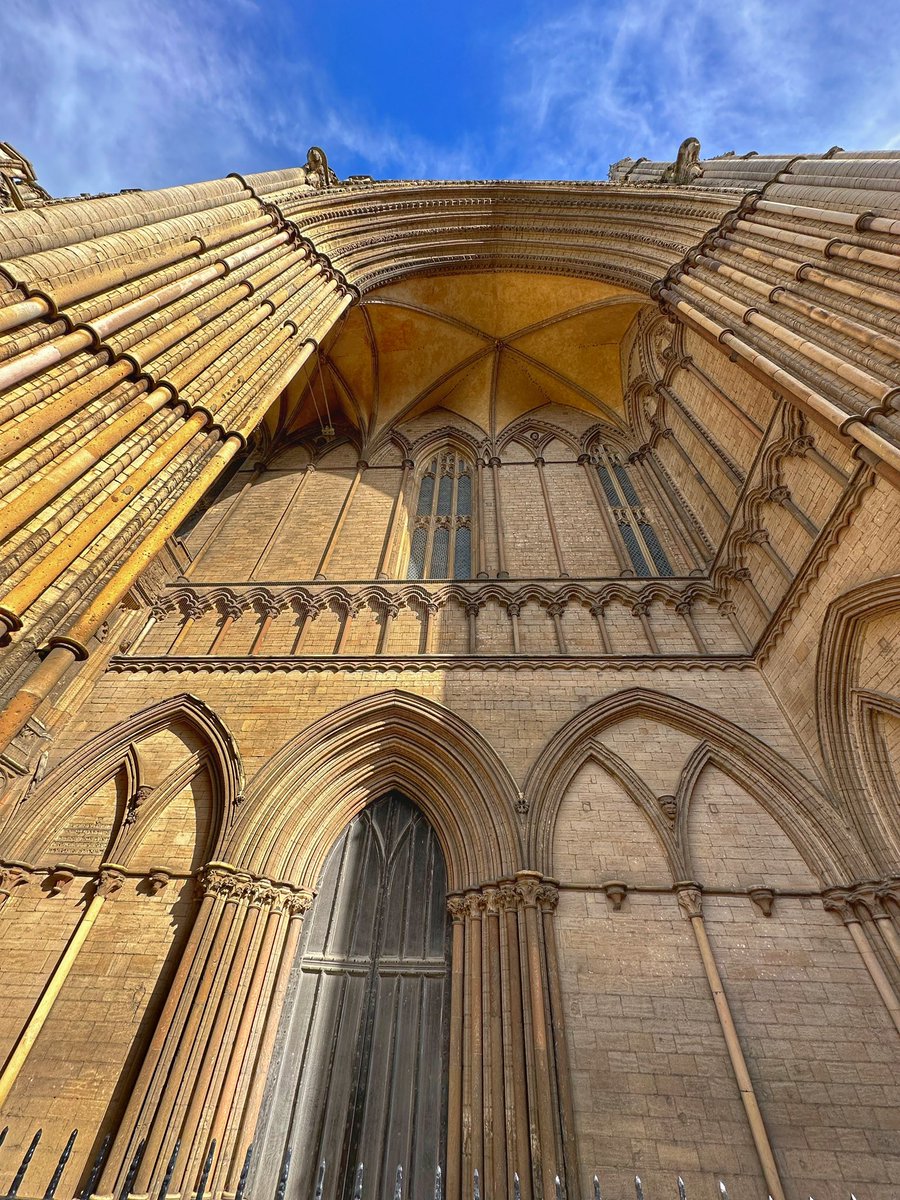 Toby Wood tweet media