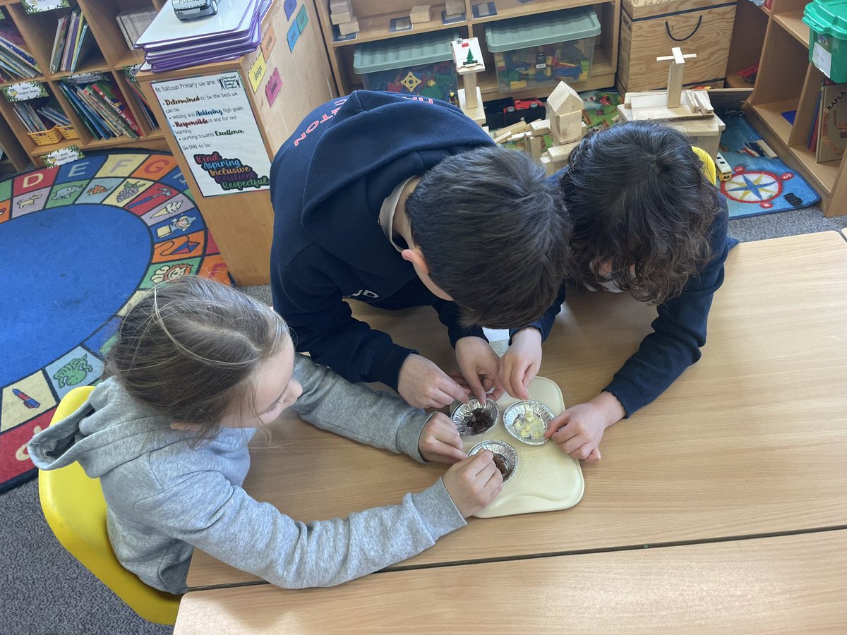 Saltoun Primary & Early Years Setting tweet media