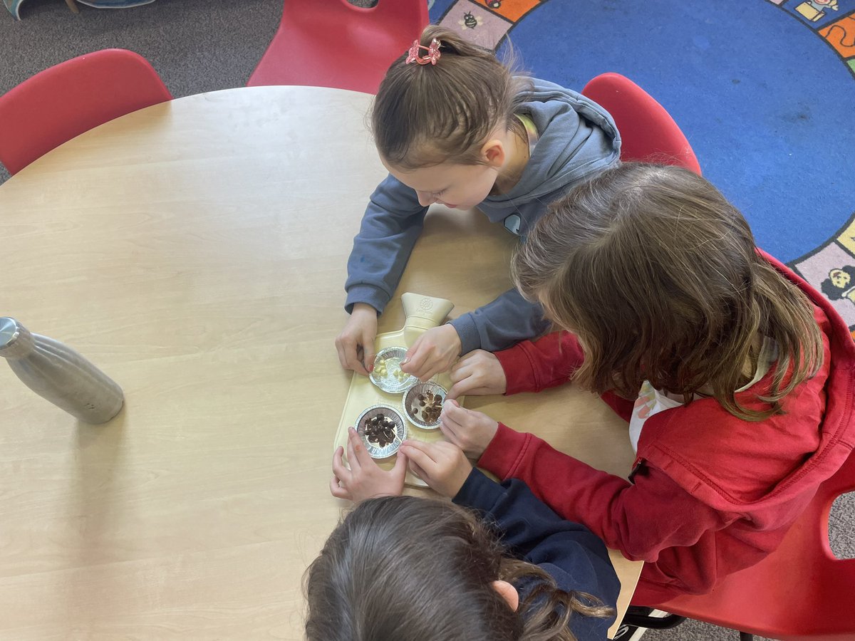 Saltoun Primary & Early Years Setting tweet media