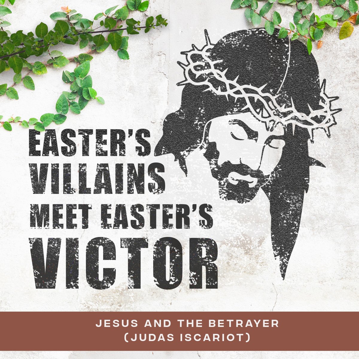 Springcreek Church tweet media