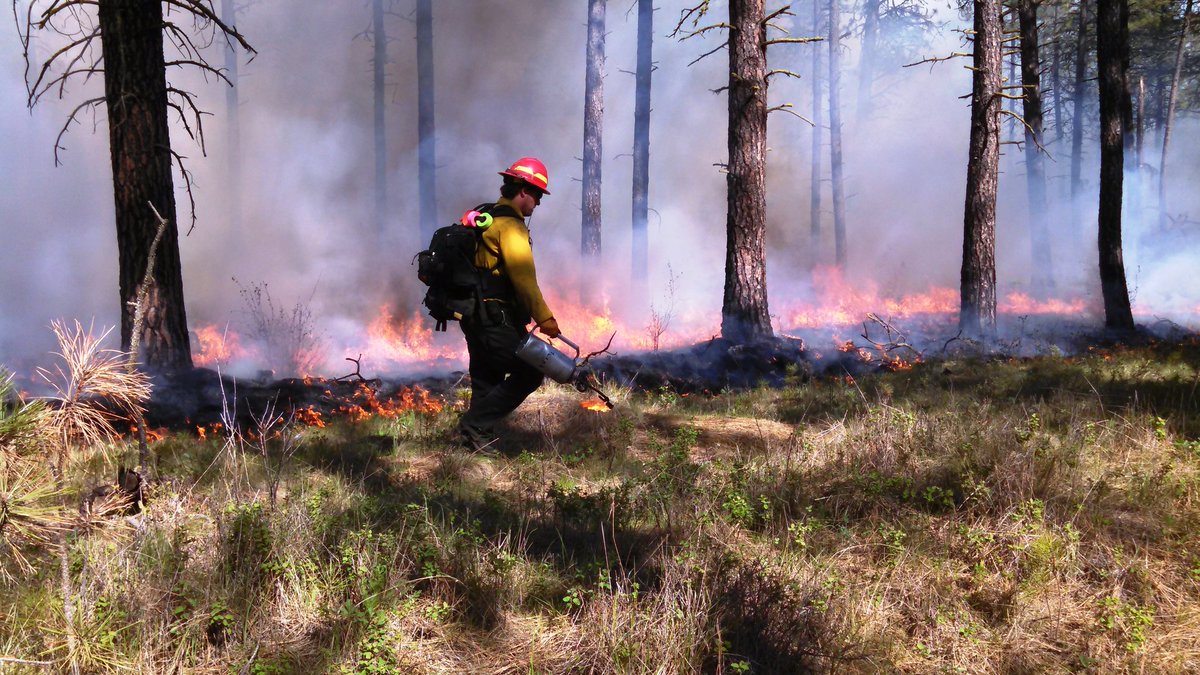 Who is trying to get to the U.P.? We've got a #firejob for you at Seney NWR in #MI! Help preserve this sanctuary for migratory birds as a GS-6 Forestry Tech (Fire).

Apply by 4/3 --> bit.ly/3LxvnAw

#NotYourOrdinaryJob <a href="/USFWSCareers/">U.S. Fish and Wildlife Service Careers</a> 

📸 Ken Meinhart/USFWS
