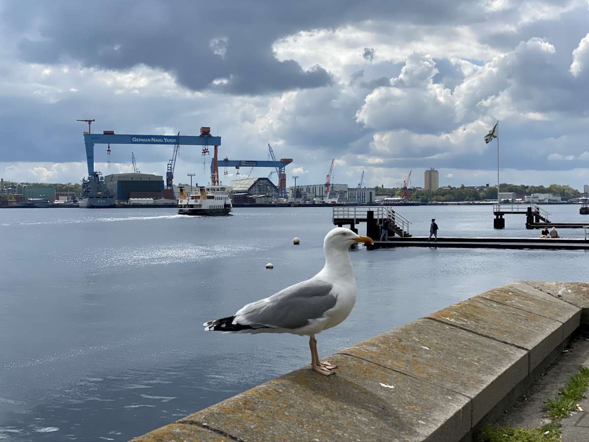 Cool_Beaches's tweet photo. #Kiel in #Germany here is a new picture gallery for you on https://t.co/A0BDfMsuhP: Kiel Fjord https://t.co/vZIhZ1gopw https://t.co/ukAkkvfZNh