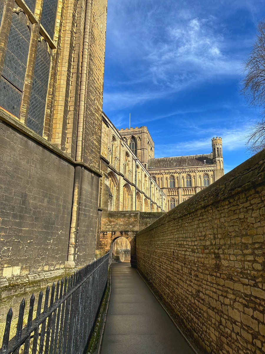 Toby Wood tweet media