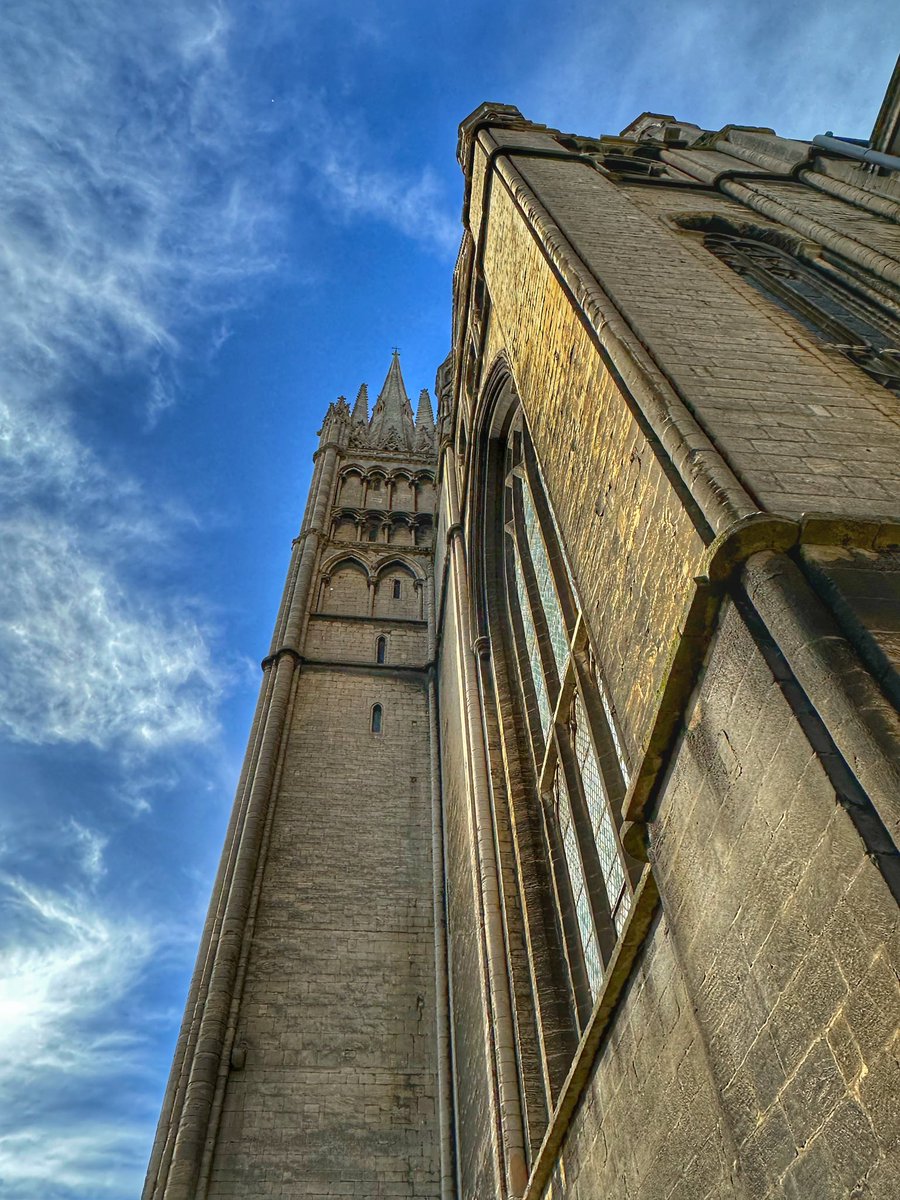 Toby Wood tweet media