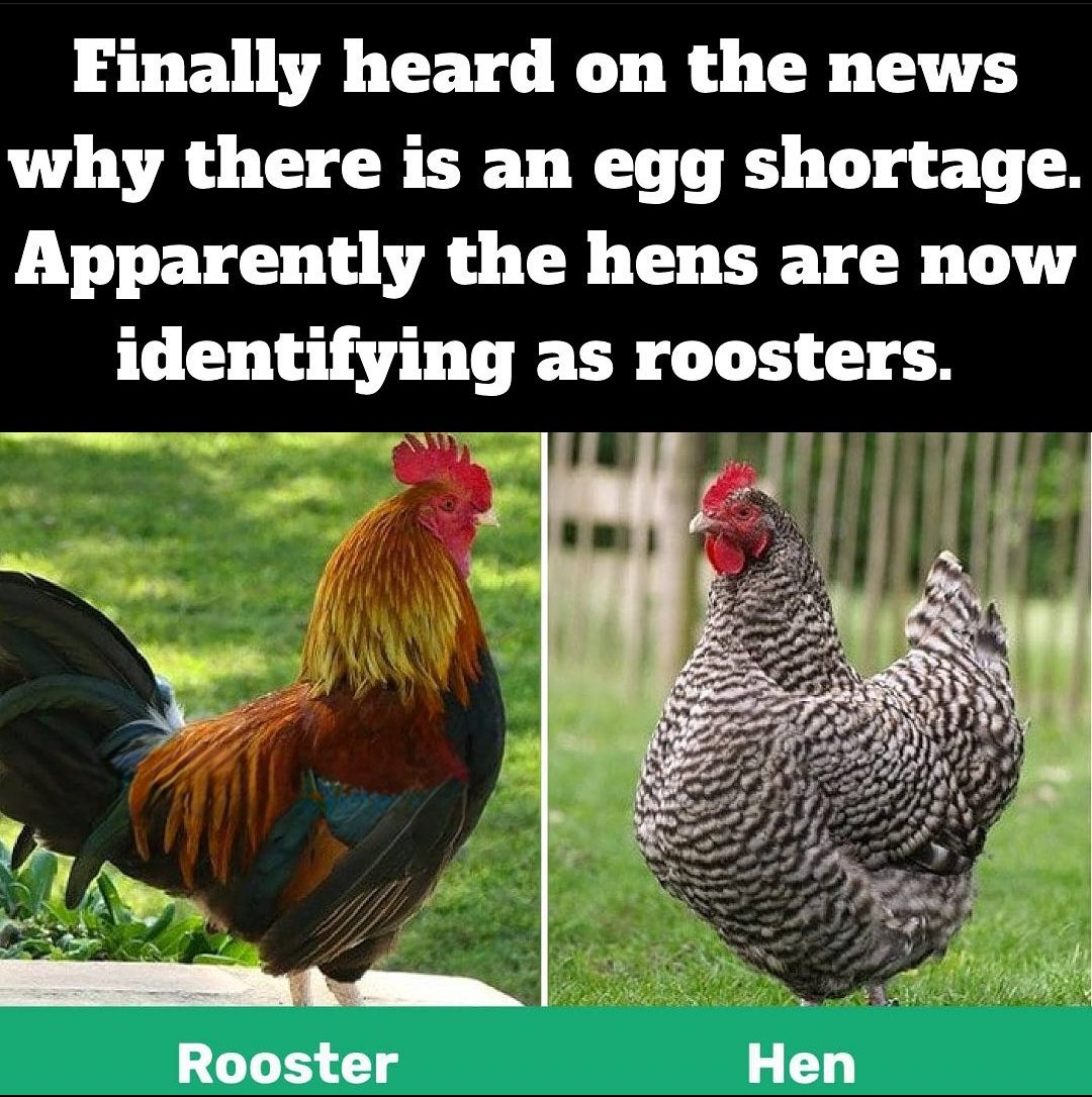 MAGA__Patriot's tweet image. 