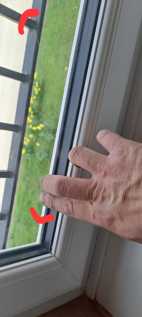 Flamborough windows tweet media