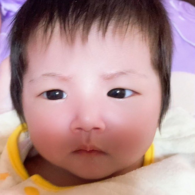 sanamodelclient's tweet photo. 返信できないけどDM読んでます
心配してくれてた皆様ありがとうございます,,ᴗ  ̫ ᴗ,,
チビズも皆元気いっぱいで楽しく生活してます♡
ただ予定外にバタバタしすぎて中々更新できなくてごめんなさい(｡•́-ก̀｡)
相変わらずらむゎ男の子みたいだけど元気に成長してるし皆かわいすぎるᐢ ̥_  ̫ _ ̥ᐢ https://t.co/mXncU802uC