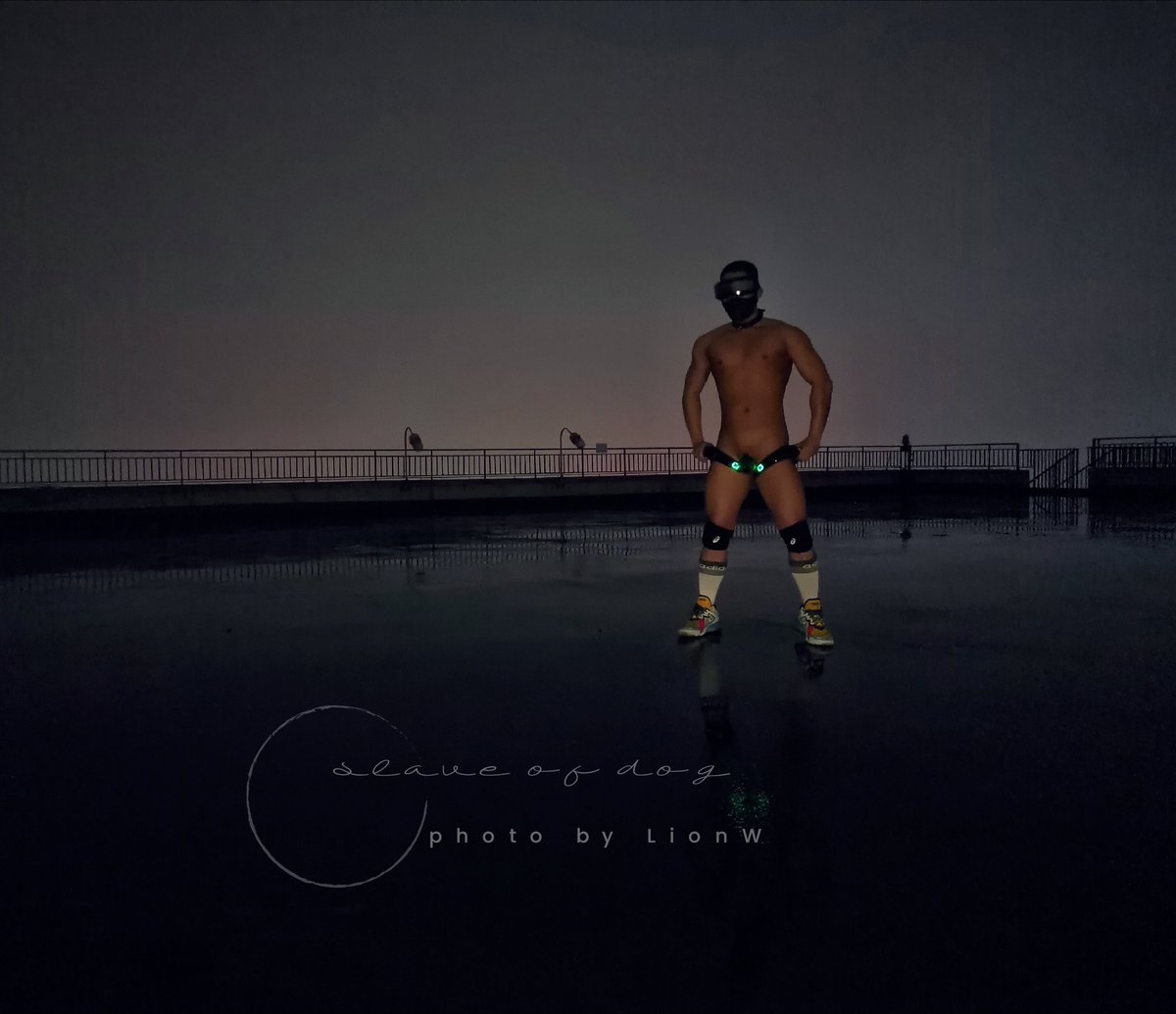 是一只前锁后塞+佩戴洗脑VR和电击器的机器狗～🤖😖