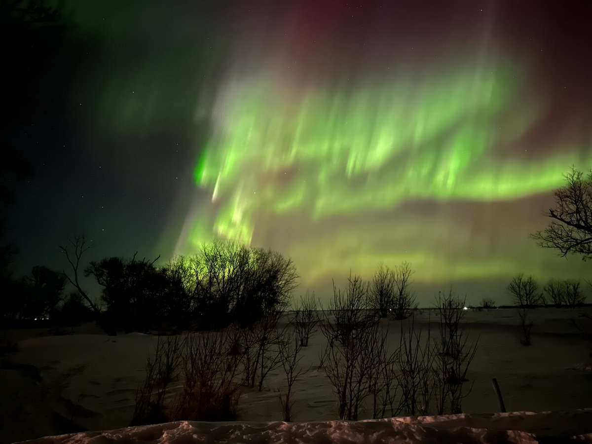 CompactorJoe's tweet image. The northern lights out side me house