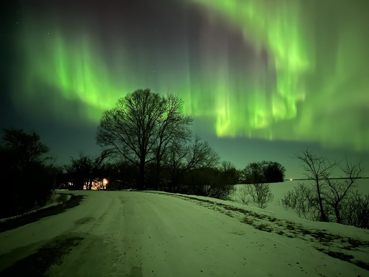 CompactorJoe's tweet image. The northern lights out side me house